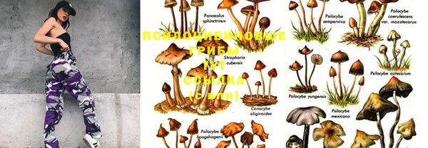 PSILOCYBIN Абаза