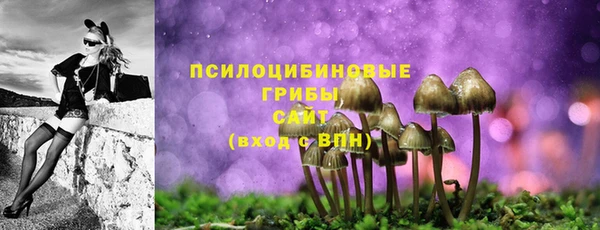 PSILOCYBIN Абаза