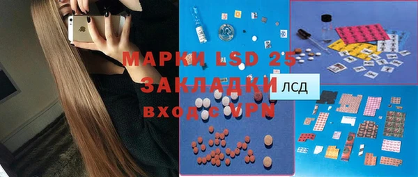 PSILOCYBIN Абаза