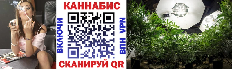 Каннабис ГИДРОПОН  цены наркотик  Кочубеевское 